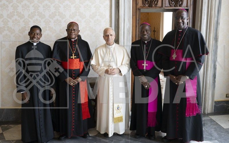 First Meeting With Pope Leo XIV Marks New Chapter for Church in Africa: SECAM President