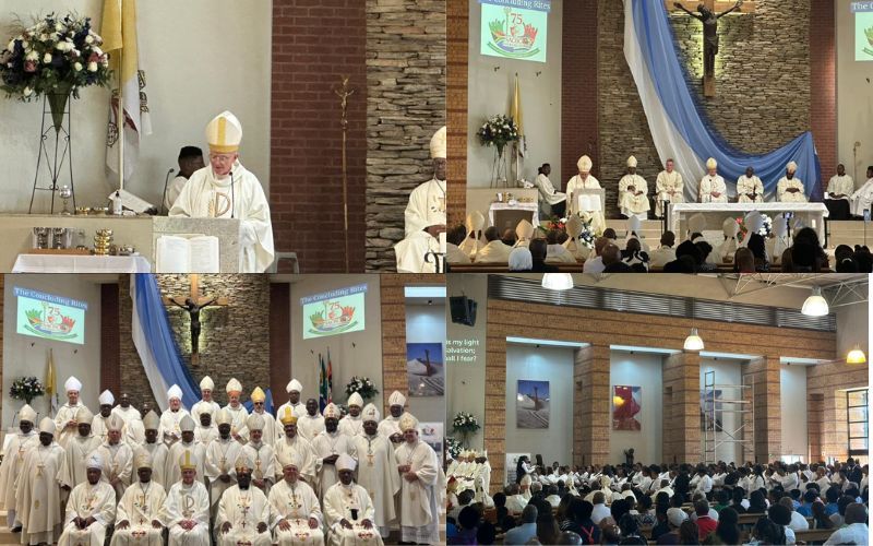 Pope Leo XIV Urges Southern African Bishops to Continue Legacy of Early Missionaries