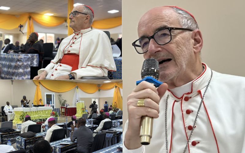Vatican Cardinal Urges Church in Central Africa to Be Credible Artisans of Justice, Reconciliation