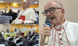 Michael Cardinal Czerny. Credit: Catholic Archdiocese of N’Djamena