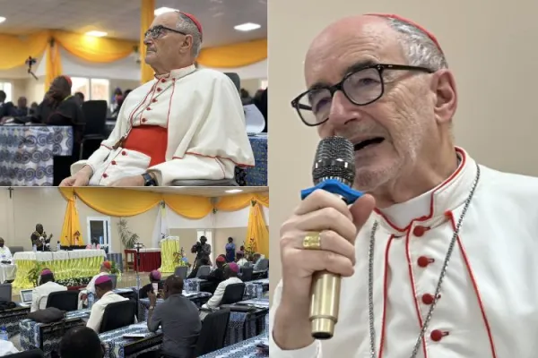 Michael Cardinal Czerny. Credit: Catholic Archdiocese of N’Djamena