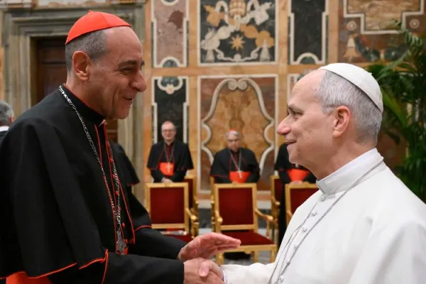 Pope Leo XIV greets Cardinal Víctor Manuel Fernández, prefect of the Dicastery for the Doctrine of the Faith, during an audience with the DDF's plenary meeting participants on Jan. 29, 2026. | Credit: Vatican Media