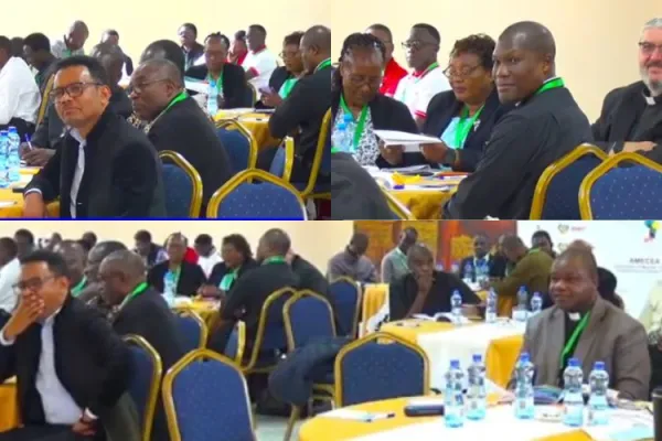“A vital gathering”: Tanzanian Bishop on First-Ever AMECEA Regional Conference for Safeguarding in Seminaries