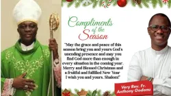 Archbishop Alfred Adewale Martins of Lagos Catholic Archdiocese, Nigeria. Credit: Fr. Anthony Godonu/Catholic Archdiocese of Lagos/Nigeria