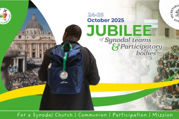 Jubilee of Synodal Teams and Participatory Bodies: Southern Africa Bishops Share Best Wishes ahead of Meeting in Rome