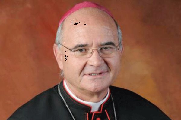 Archbishop Stephen Brislin, the Liaison Bishop of the South Africa-based Denis Hurley Peace Institute (DPHI).