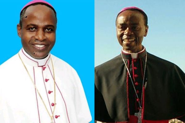 Pope Francis Appoints Auxiliary Bishops in Tanzania, Cameroon as Local Ordinaries