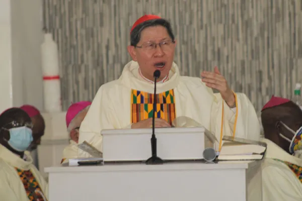 SECAM Bishops’ Plenary, a Moment to Renew Commitment to Evangelization: Vatican Cardinal