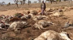 Credit: Scottish Catholic International Aid Fund (SCIAF)