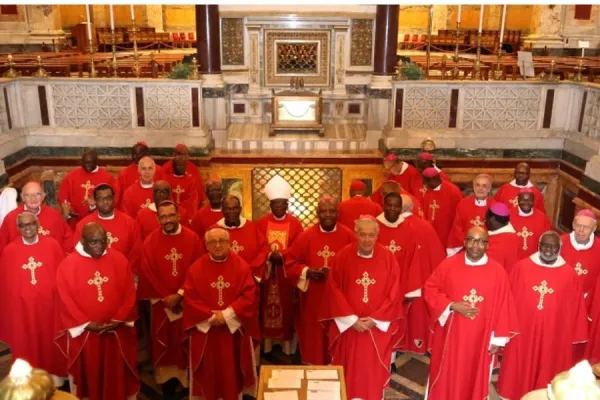 Southern African Bishops Share Insights on Role of Clergy, Laity During Ad Limina Visit