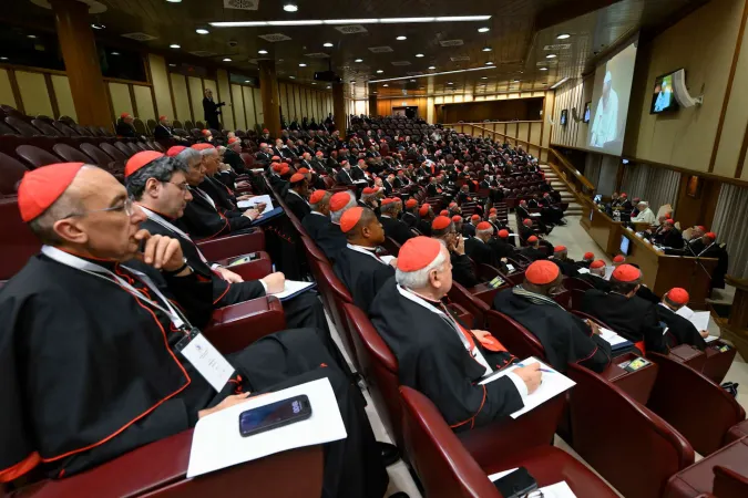 Cardinals meet with Pope Leo XIV in the third session of the consistory on Jan. 8, 2025, at the Vatican. | Credit: Vatican Media