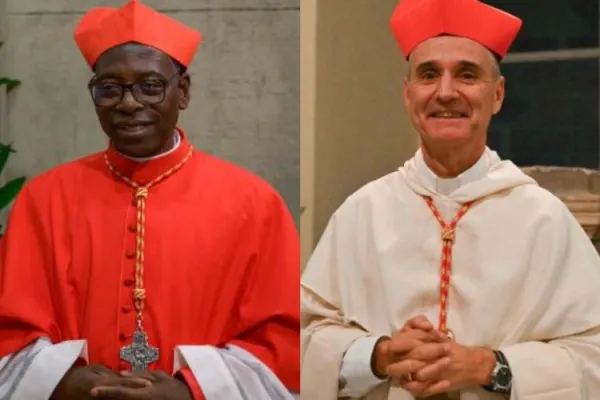 The Two Newly Created Cardinals in Africa Appointed to Vatican Dicasteries: Doctrine of Faith, Interreligious Dialogue