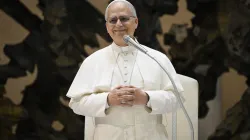 Pope Leo XIV speaks to pilgrims at the general audience in the Paul VI Audience Hall, Vatican City, Wednesday, Aug. 27, 2025. / Credit: Vatican Media