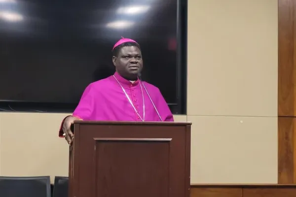 Nigerian Catholic Bishop Calls for U.S. Military Intervention at Congressional Hearing
