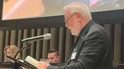 Archbishop Gallagher speaks at the United Nations in New York on Sept. 23, 2025. / Credit: Permanent Mission of the Holy See to the United Nations