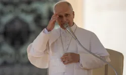 Pope Leo XIV gives his apostolic blessing at the end of the general audience in St. Peter’s Square on Nov. 12, 2025. / Credit: Daniel Ibanez/CNA