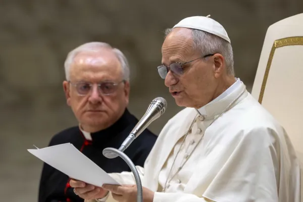 Pope Leo XIV speaks during the general audience in the Vatican’s Paul VI Hall on Jan. 28, 2026. | Credit: Daniel Ibanez/EWTN News