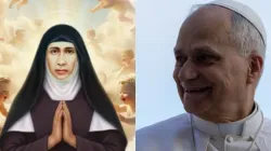 The beatification ceremony for Mother Elisva Vakha’i was held in the square in front of the Basilica-Shrine of Our Lady of Ransom in Vallarpadam, Kochi, Kerala, India, Nov. 8, 2025. / Credit: Congregation of the Teresian Discalced Carmelite Sisters; Daniel Ibañez/EWTN News