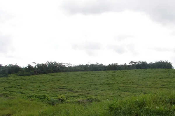 Implement Strong, Justice Mechanisms to Tackle Exploitation in Africa: Catholic Entities