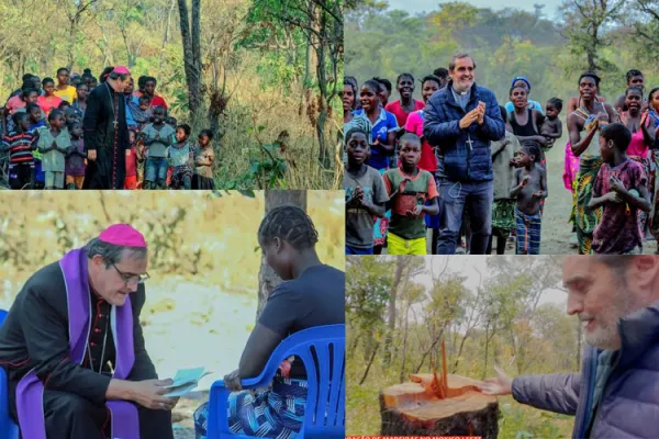 “Angola’s biodiversity destroyed before our eyes”: Bishop on Massive Deforestation, Poaching near Border with Zambia