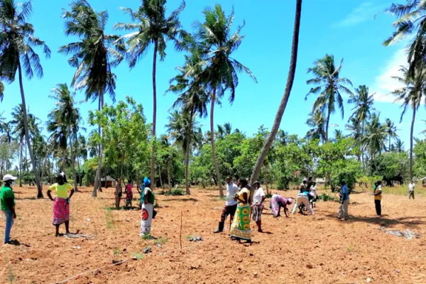 Kenyan Catholic Diocese Launches Model “Church Forest” to Encourage Tree Planting
