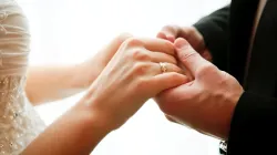 null / Credit: Alex Studio/Shutterstock