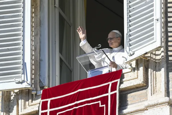 Pope Leo XIV greets pilgrims gathered in St. Peter's Square at the Vatican for the recitation of the Angelus on Jan. 11, 2026. / Vatican Media