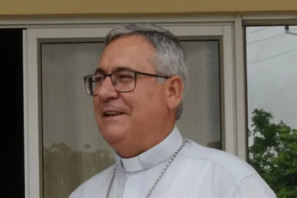 Catholic Bishop Recounts Atrocities Terrorists are Committing in Northern Mozambique