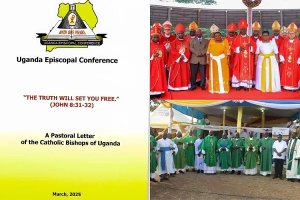 “Greed of a few” Key Factor in Uganda’s Environmental Degradation: Catholic Bishops