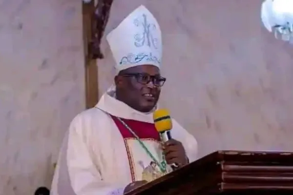 Over 50 Killed within Days as Terrorists Launch Fresh Attacks on Communities Under Nigerian Catholic Diocese