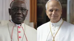Pope Leo XIV and Robert Cardinal Sarah. Credit: Vatican Media/ACI Africa