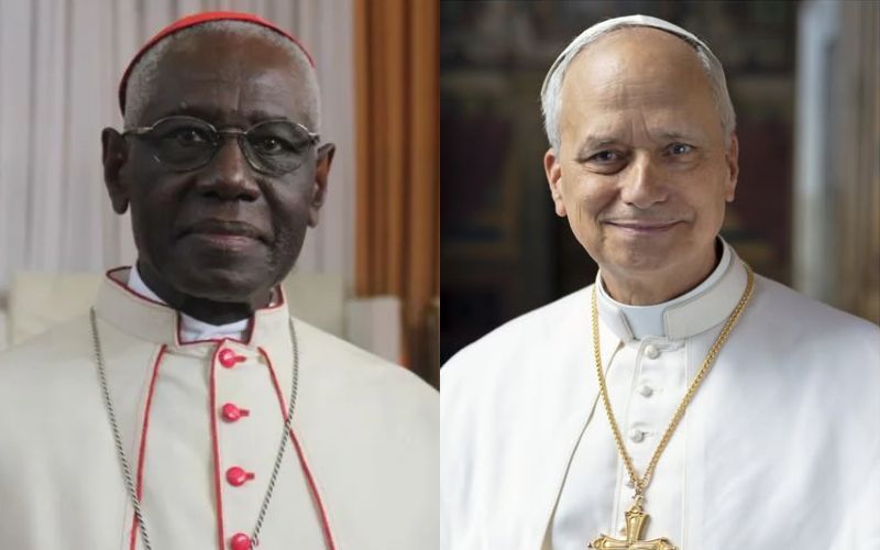 Fact Check: Has Pope Leo XIV Appointed Guinean Vatican-based Cardinal Sarah His “Special Envoy”?