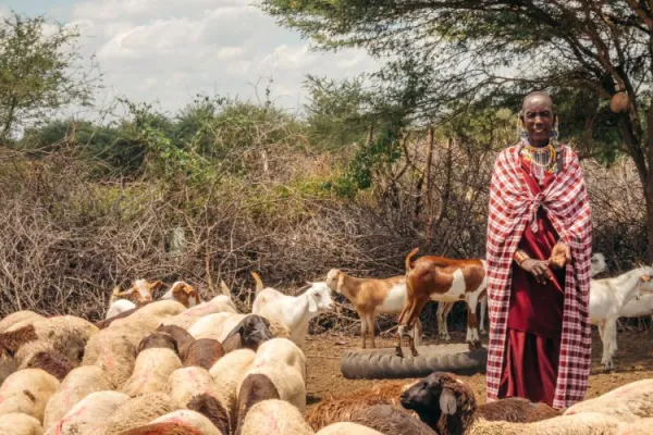 Catholic Agencies Call for Action as Tanzanian Indigenous Community Duped into Signing “dubious” Carbon Credit Projects