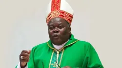 Bishop Osório Citora Afonso. Credit: CEM
