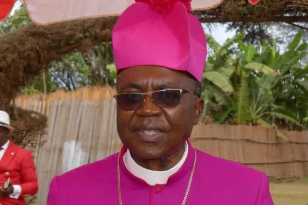 Catholic Bishop in Cameroon Says Hate Speech, Misinformation Not Conducive for Presidential Election