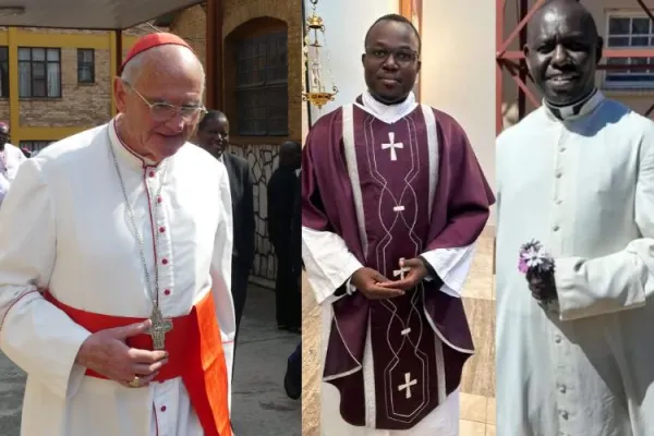 Cardinal Brislin Lauds Sacrifice of Catholic Priests Forced Out of South Africa amid Foreigners’ Visa Woes