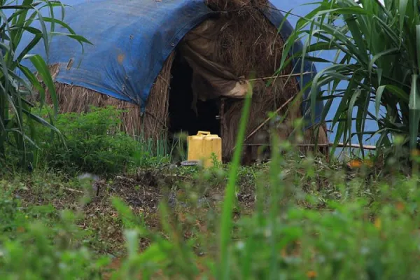 Caritas Internationalis Joins DR Congo’s Catholic Bishops to Denounce “brutal violence inflicted on innocent civilians”