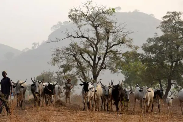 Disrespect for Land Heritage, Racial Superiority Cause Conflicts: Nigerian Bible Scholars