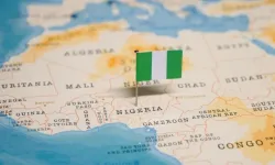 null / Credit: hyotographics/Shutterstock