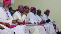 Some members of the Ghana Catholic Bishops Conference (GCBC). Credit: Catholic Trends/Facebook
