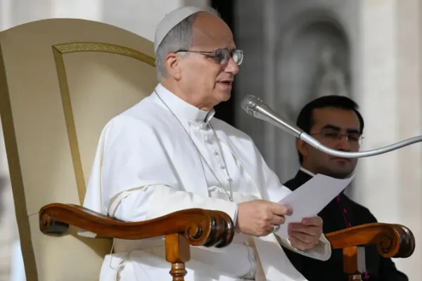 Pope Leo XIV. | Credit: Vatican Media