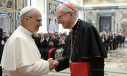 A new Vatican labor regulations decree was issued after an audience granted to Vatican Secretary of State Cardinal Pietro Parolin, pictured here with Pope Leo XIV. / Credit: Vatican Media