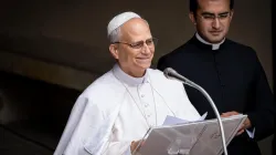 Pope Leo XIV addresses the crowd at the Angelus on July 13, 2025, at the papal estate of Castel Gandolfo. / Credit: Stefano Costantino/EWTN News