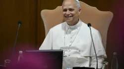 Pope Leo XIV at the Vatican on Sept. 11, 2025. / Credit: Vatican Media