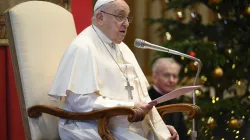 Pope Francis addresses members of the diplomatic corps accredited to the Holy See on Jan. 9, 2025, at the Vatican. / Credit: Vatican Media