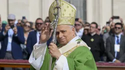 Pope Leo XIV waves to pilgrims gathered in St. Peter’s Square for the Jubilee of Marian Spirituality on Oct. 12, 2025, at the Vatican. / Credit: Vatican Media