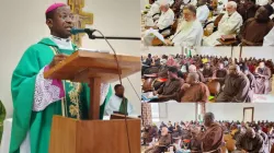 Credit: Capuchins in Angola