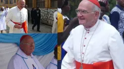 Stephen Cardinal Brislin of the Catholic Archdiocese of Johannesburg in South Africa. Credit: ACI Africa