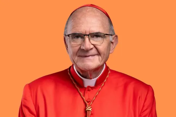 “An honour, a matter of giving service”: South Africa’s Cardinal Brislin on Appointment to Vatican Dicastery for Clergy