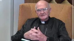 Stephen Cardinal Brislin of South Africa’s Catholic Archdiocese of Johannesburg. Credit: SACBC